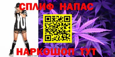 эйфоретик Кимры
