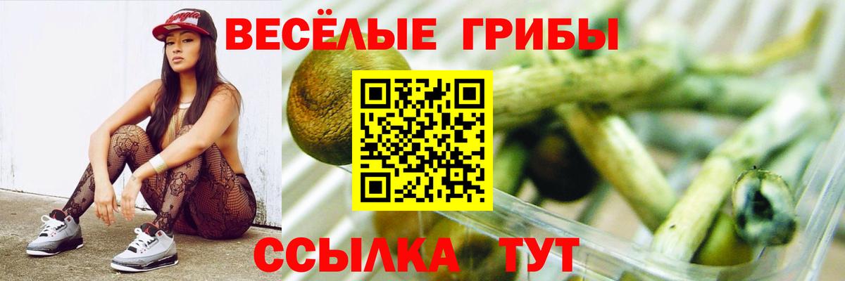 Лангепас  Галлюциногенные грибы Psilocybine cubensis  Вход с VPN 